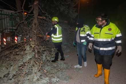 CINTURA - Pali pericolanti o abbattuti, parchi chiusi e lamiere divelte: il vento forte sferza la provincia