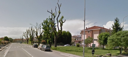 CARMAGNOLA - Polemiche e petizioni per salvare delle aree verdi