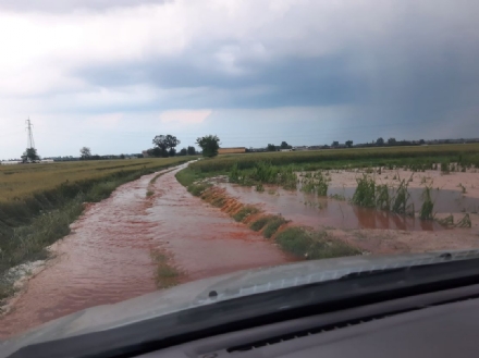 PIOSSASCO - La conta dei danni del maltempo della scorsa notte: mais e grano compromessi