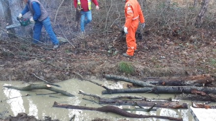 PIOSSASCO - La pista forestale sul San Giorgio è un caos e i volontari Aib la sistemano