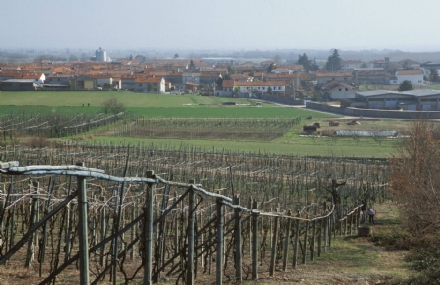 PANCALIERI - Rinviata per maltempo la Fiera Vivaistica in programma domenica 3 marzo