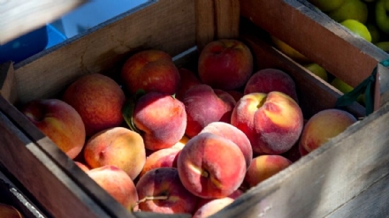 NICHELINO - Allarme «truffa della frutta»: balordi in azione in città