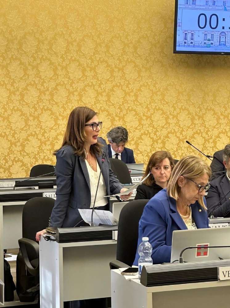 NICHELINO - Cisa12, 3 psichiatri per 600 disabili. Il Pd: «Vogliamo chiarezza sulle criticità»