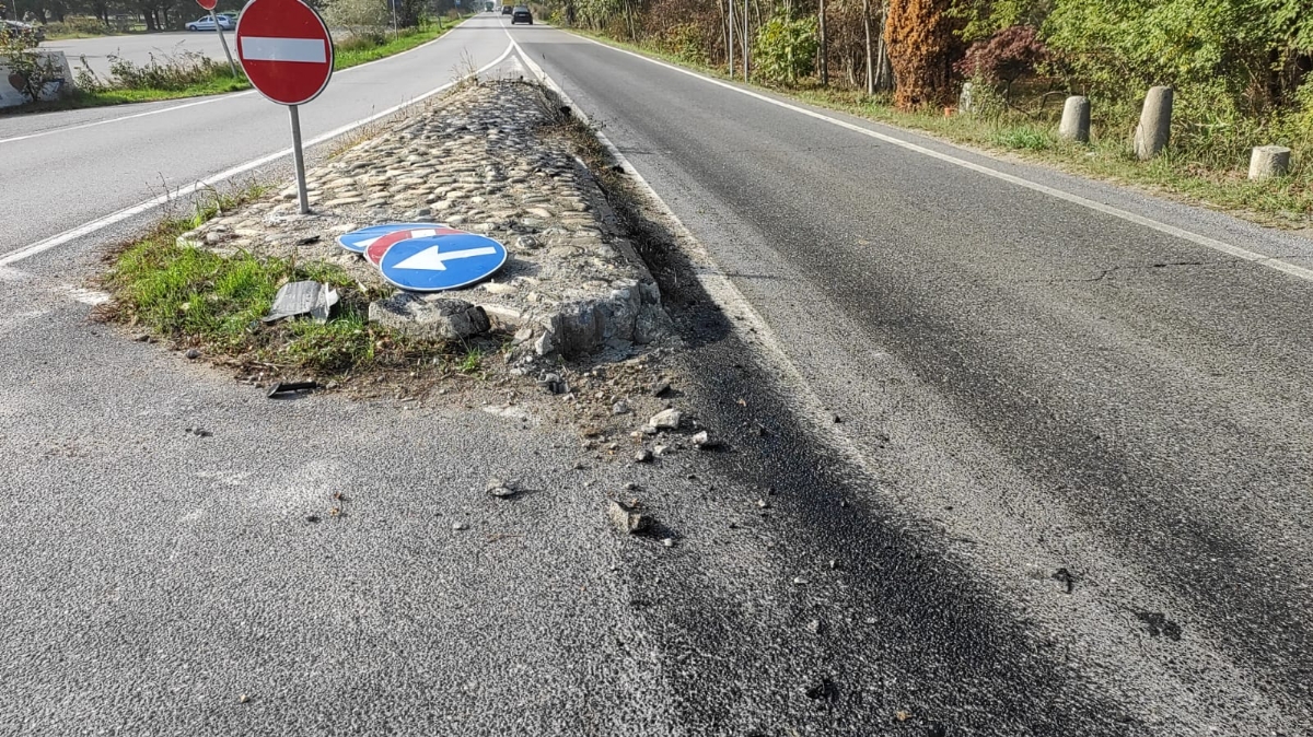 NICHELINO - Perde il controllo dell'auto, abbatte i segnali stradali e finisce fuori strada