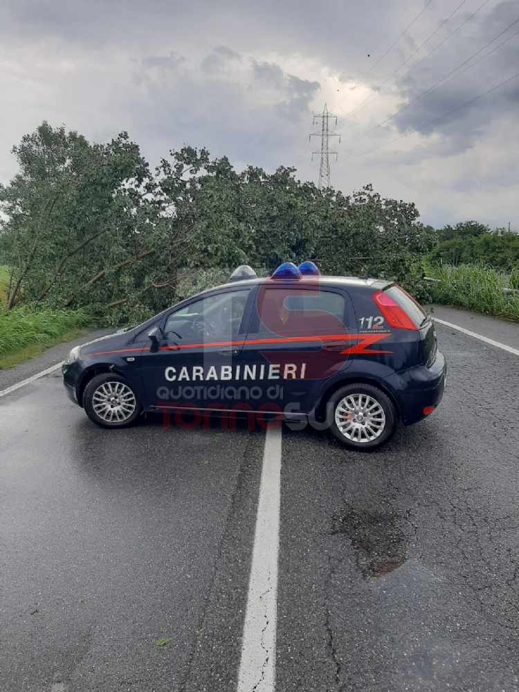 CINTURA SUD - Intenso temporale, alberi pericolanti e allagamenti a Beinasco