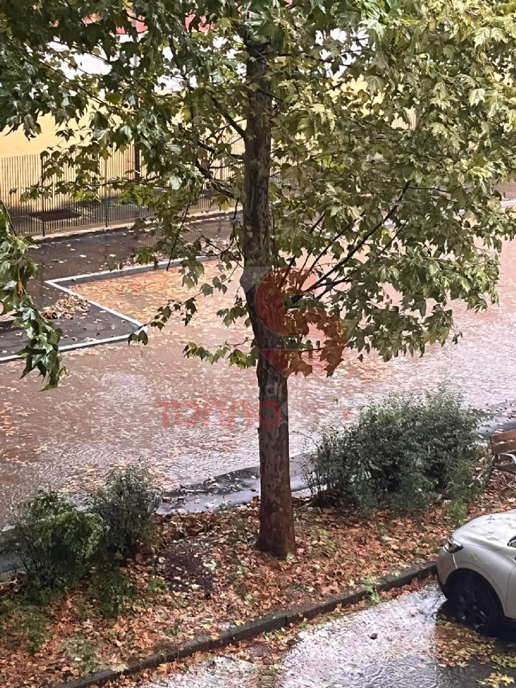 MALTEMPO - Crolla muro di una fabbrica sulle auto in sosta, via Cacciatori allagata - LE FOTO -