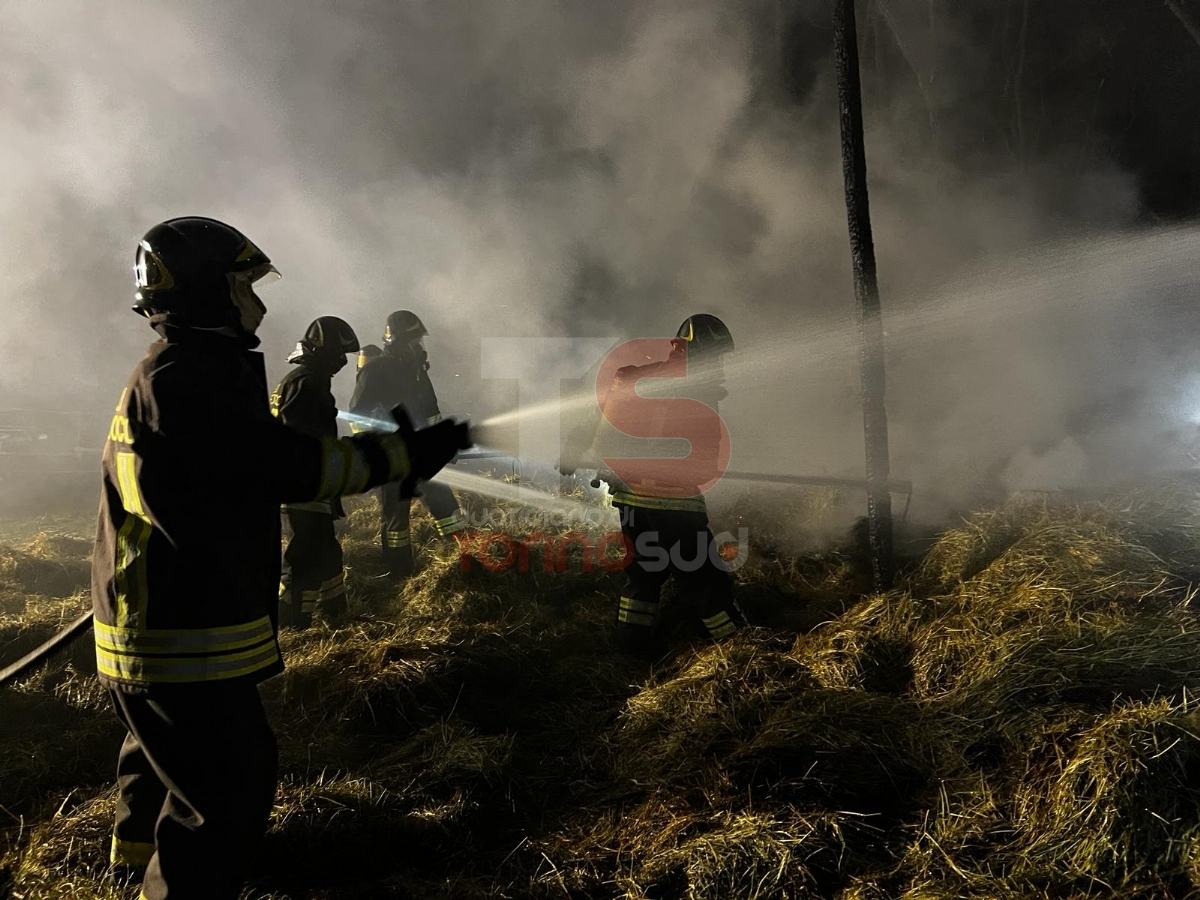 RIVALTA - Incendio in un maneggio: morta la cavalla più amata dai bimbi - FOTO