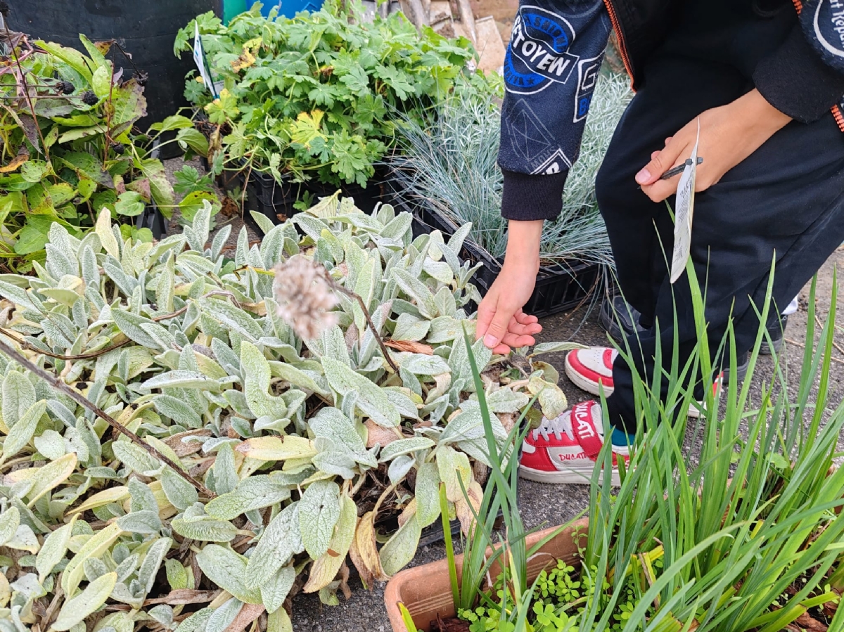 RIVALTA - Bimbi della scuola «giardinieri» danno nuova vita alla piazzetta di Gerbole - FOTO